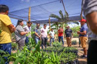 Presidenta da Funai visita viveiro de mudas de plantas nativas na Terra Indígena São Marcos (RR)