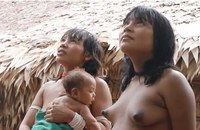 Primeiro filme feito por mulheres Yanomami estreia na Mostra de Cinema de Tiradentes
