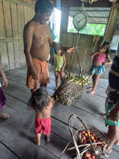 Venda de alimentos tradicionais nas escolas indígena das aldeias Kanamarí e Mayourunada TI Vale do Javari 2.jpg