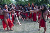 Saiba mais sobre a pintura corporal e arte gráfica dos povos indígenas Wajãpi do Amapá