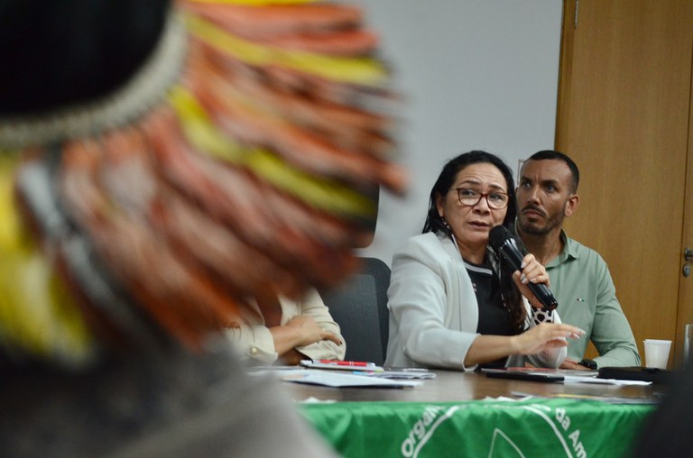 17.10.2024 - 3ª Reunião Extraordinária do Comitê Gestor da PNGATI - Foto Mário Vilela (14).JPG