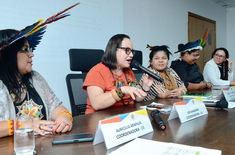 17.10.2024 - 3ª Reunião Extraordinária do Comitê Gestor da PNGATI - Foto Mário Vilela (7).JPG