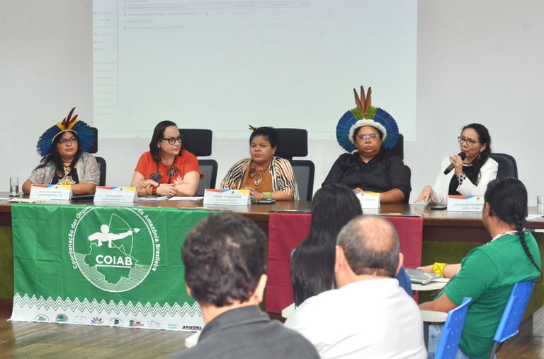 17.10.2024 - 3ª Reunião Extraordinária do Comitê Gestor da PNGATI - Foto Mário Vilela (8).JPG