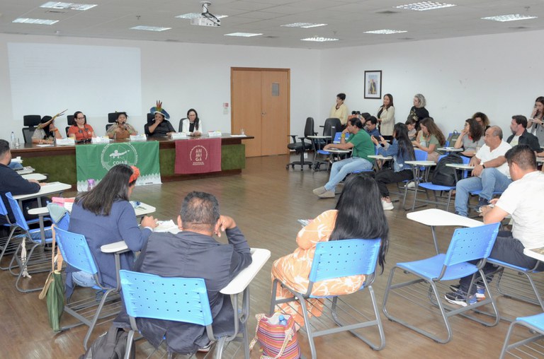 17.10.2024 - 3ª Reunião Extraordinária do Comitê Gestor da PNGATI - Foto Mário Vilela (9).JPG