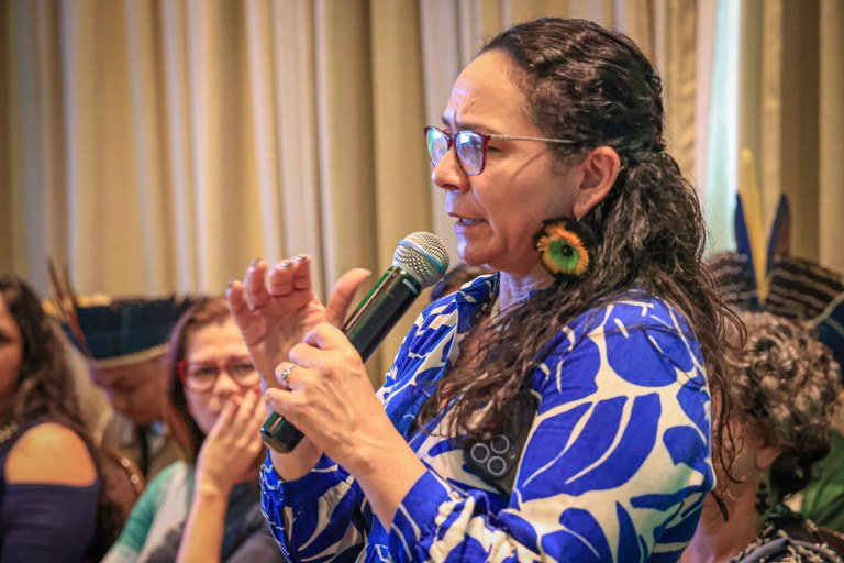 05.12.2024 - 3ª Reunião Ordinária do CNPI - Foto Lohana Chaves (6).JPG