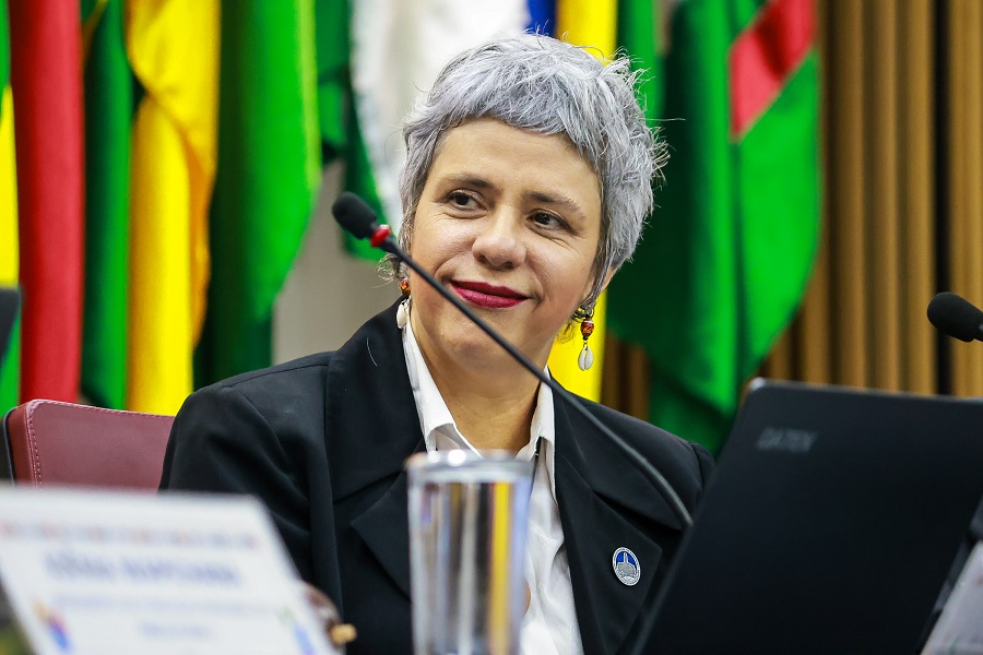  Eneá de Stutz, presidenta da Comissão de Anistia do MDHC (Foto: Lohana Chaves/Funai)
