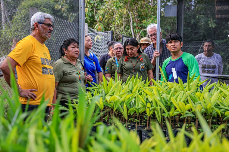 25.11.2024 - Visita na Terra Indígena Waimiri Atroari - Foto Lohana Chaves  (13).JPG