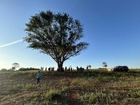 Decisão que impede assistência a indígenas no Paraná é inconstitucional, afirma Funai