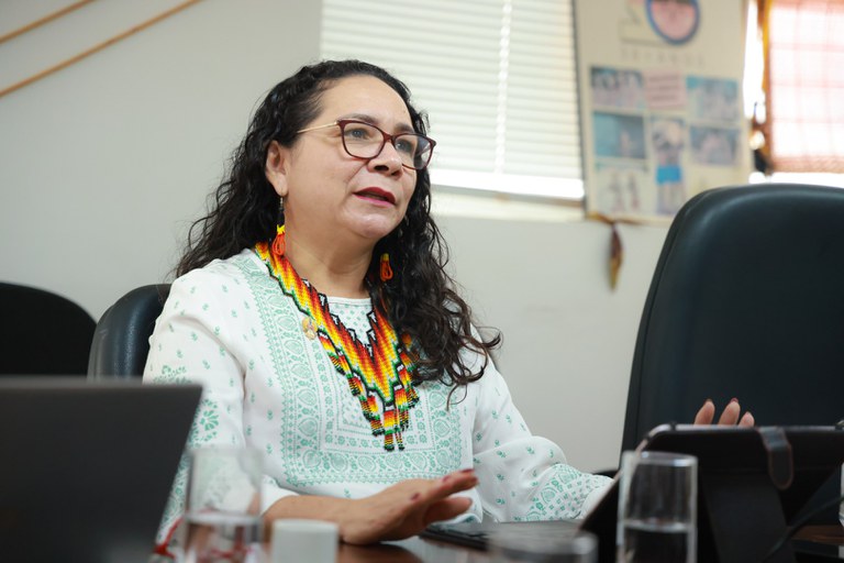 16.12.2024 - Última reunião da Dircol em 2024 -  Foto Lohana Chaves Funai  (4).JPG