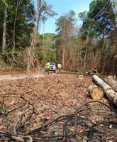 Funai apoia ações de combate a incêndios na Terra Indígena Sete de Setembro