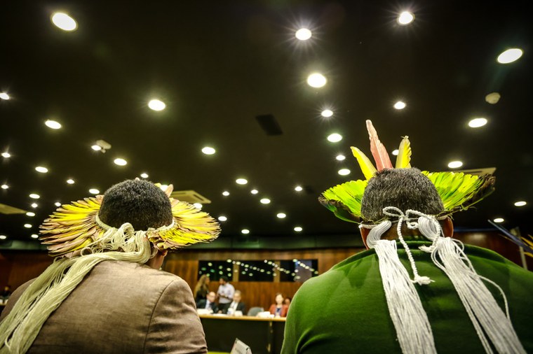 08.08.2024 - Apresentação da Funai na 2ª Reunião Ordinária do CNPI - Foto Lohana Chaves (16).JPG