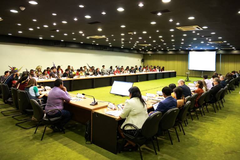 08.08.2024 - Apresentação da Funai na 2ª Reunião Ordinária do CNPI - Foto Lohana Chaves (17).JPG