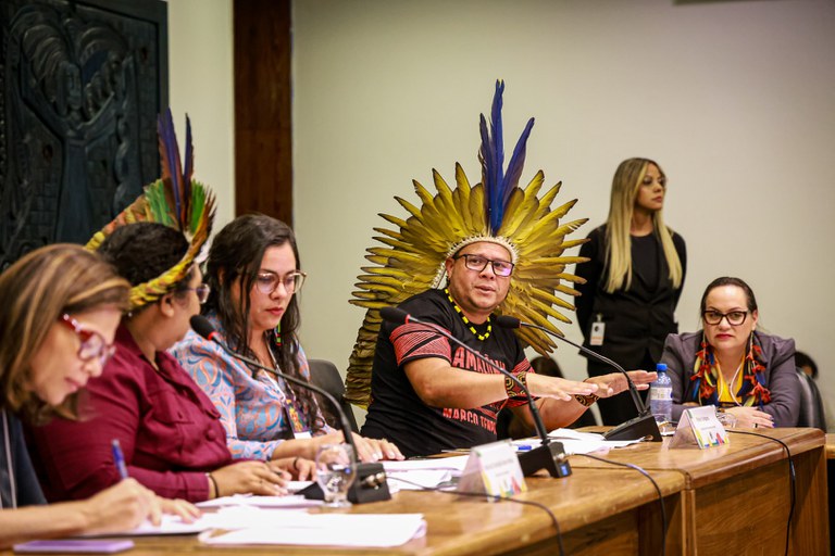 08.08.2024 - Apresentação da Funai na 2ª Reunião Ordinária do CNPI - Foto Lohana Chaves (18).JPG