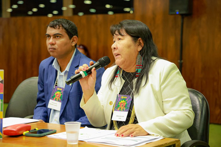 08.08.2024 - Apresentação da Funai na 2ª Reunião Ordinária do CNPI - Foto Lohana Chaves (19).JPG