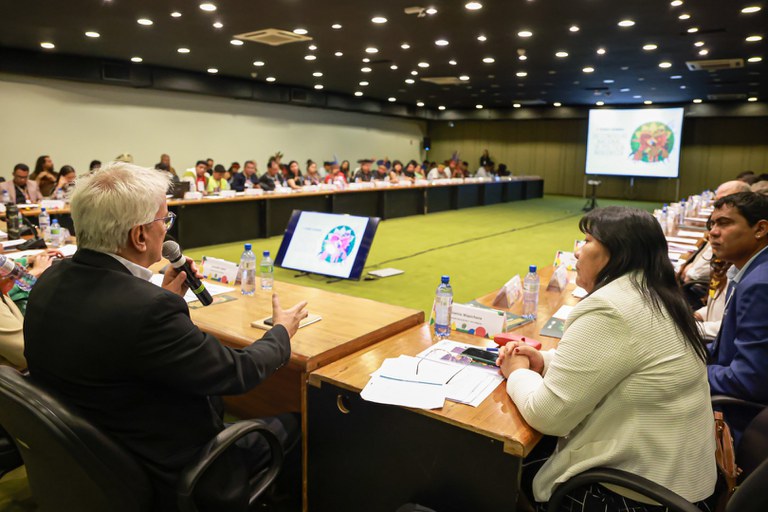 08.08.2024 - Apresentação da Funai na 2ª Reunião Ordinária do CNPI - Foto Lohana Chaves (6).JPG