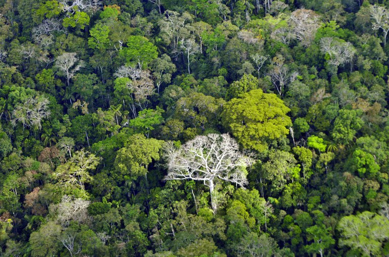 A_Panorâmicas viagem Envira © Mário Vilela » FUNAI (9).jpg