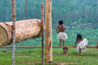 Funai e Iepé assinam acordo de cooperação para o desenvolvimento de ações sustentáveis em Terras Indígenas