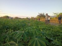 Funai e órgãos parceiros avançam nos projetos de soberania alimentar e nutricional com lideranças da TI Yanomami