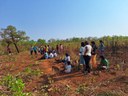 Roças comunitárias TI São Marcos - Foto divulgação (1).jpg