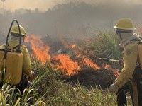 Funai, Ibama, Polícia Federal e Força Nacional combatem incêndios criminosos na Terra Indígena Apyterewa, no Pará