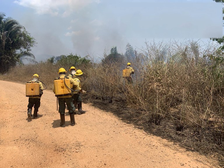 Foto Divulgação_Funai (3).JPEG