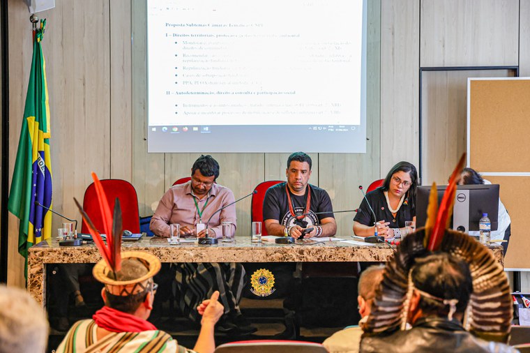 07.08.24 - 2ª Reunião Ordinária do CNPI - Câmaras Temáticas - Foto Lohana Chaves (3).JPG