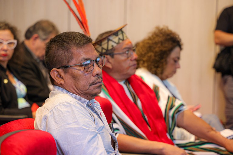 07.08.24 - 2ª Reunião Ordinária do CNPI - Câmaras Temáticas - Foto Lohana Chaves (6).JPG