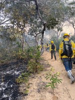 Funai participa de projeto que promove troca de conhecimento intercontinental sobre incêndios florestais