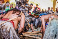 Funai participa em Dourados (MS) do lançamento do PAA indígena, um dos primeiros do Brasil