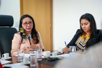 Funai promove reunião sobre a criação de rede de combate à violência contra crianças e mulheres Yanomami