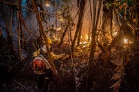 Governo Federal aumenta sanções para quem causar incêndios florestais