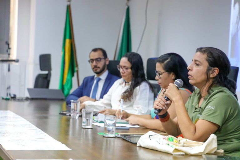 04.10.2024 - Apresentação do relatório do GT da Reestruturação da Funai - Foto Lohana Chaves (18).JPG