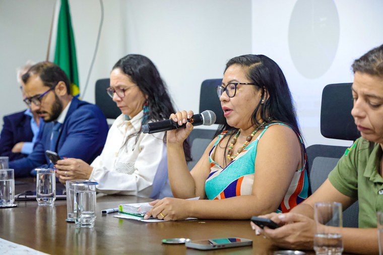 04.10.2024 - Apresentação do relatório do GT da Reestruturação da Funai - Foto Lohana Chaves (6).JPG