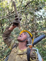 Operação de combate a incêndio na Terra Indígena Karajá preserva 70% do território