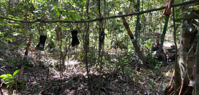 Expedição na TI Kawahiva do Rio Pardo - Foto CGIIRC Funai (4).jpg