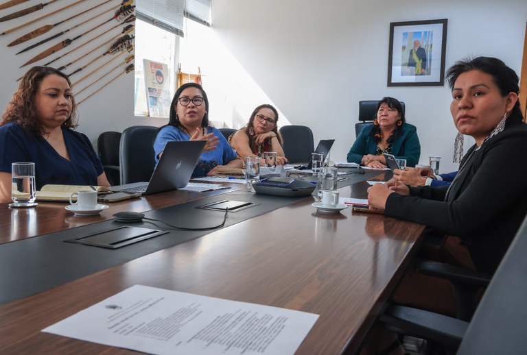 Reunião com Coordenadores Regionais @ Mário Vilela_FUNAI-7.jpg