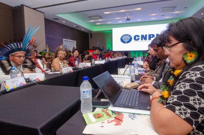 3ª Reunião Ordinária da CNPI @ Mário Vilela_FUNAI (30).jpg