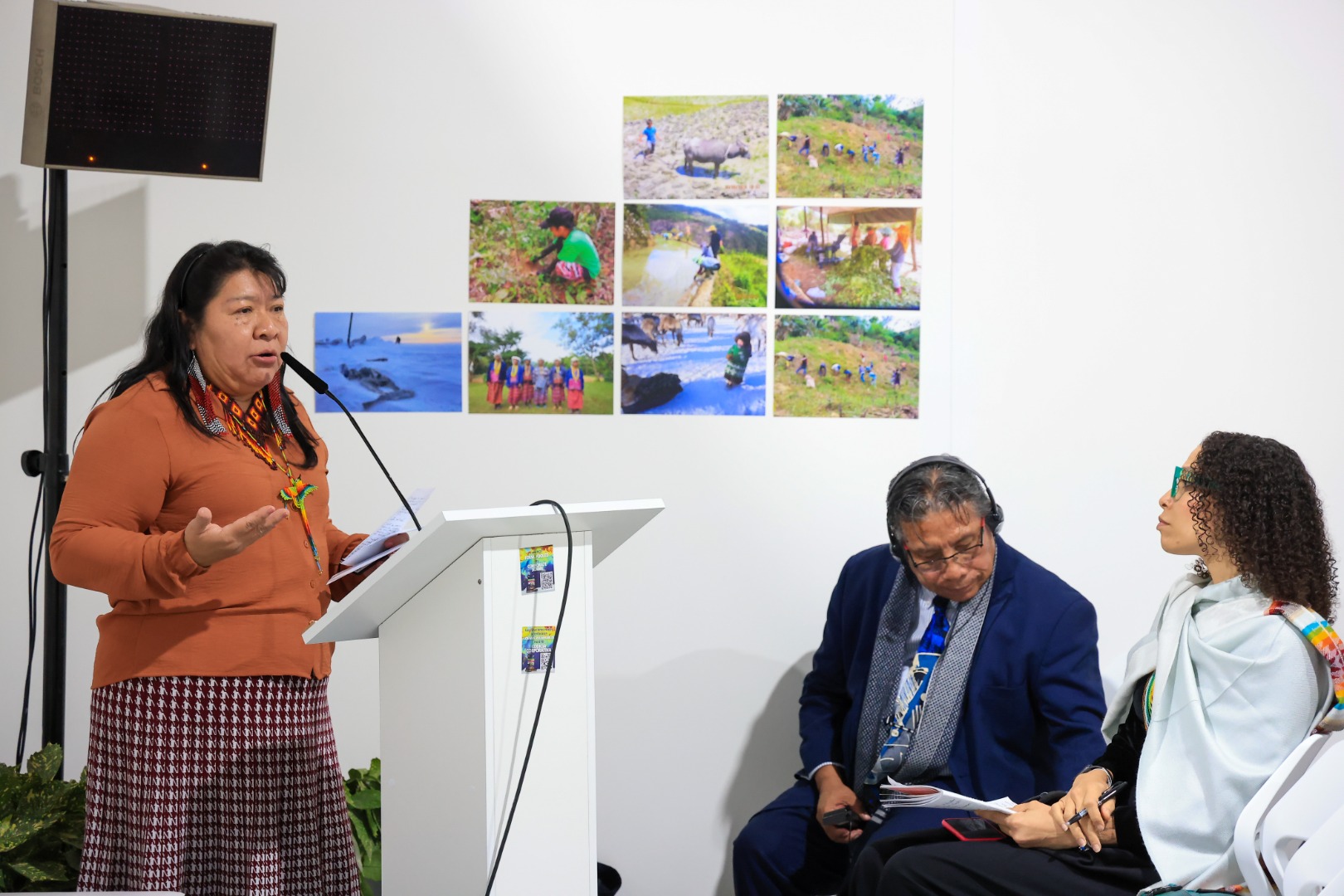 Funai defende acesso dos povos indígenas a fundos de financiamento climático na COP29