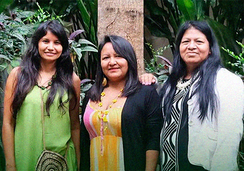 Arissana Pataxó, Francy Baniwa e Sandra Benitesz na sede do IEA, em janeiro.png