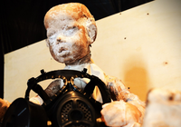 Espetáculo de teatro de bonecos tem ensaio aberto em São Paulo