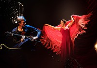 Espetáculo internacional ‘Flamencodanza’ chega à Funarte SP