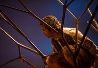 Funarte MG exibe espetáculo 'Quase Árvore', inspirado na obra de Manoel de Barros