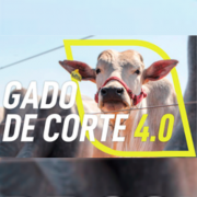 logo-gadodecorte.png