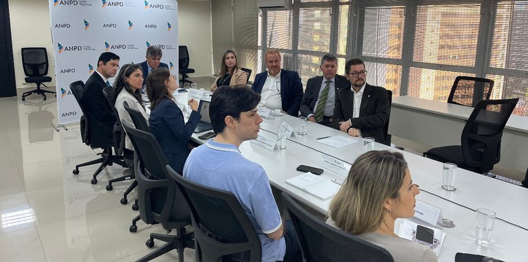 Representantes da Secretaria de Gestão e Inovação do Ministério da Gestão e Inovação em Serviços Públicos (Seges/MGI) e da Autoridade Nacional de Proteção de Dados (ANPD) durante a apresentação dos resultados da Consultoria Executiva Simplifica