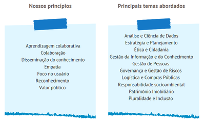 Valores e Temas do VitrineGov