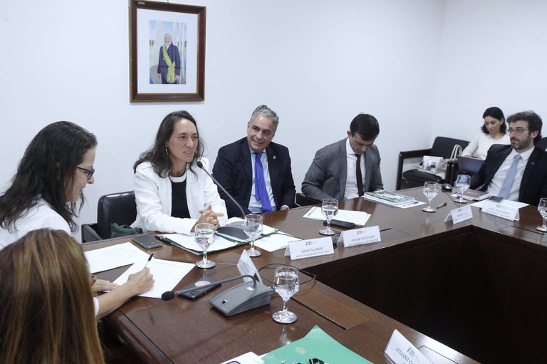 Secretária-executiva do MGI, Cristina Mori, destacou o papel institucional da pasta no fortalecimento do pacto federativo, durante a reunião do Conselho. Foto Adalberto Marques.jpeg