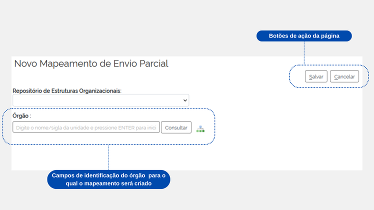 Figura 13 – Tela de criação de um novo Mapeamento de Envio Parcial