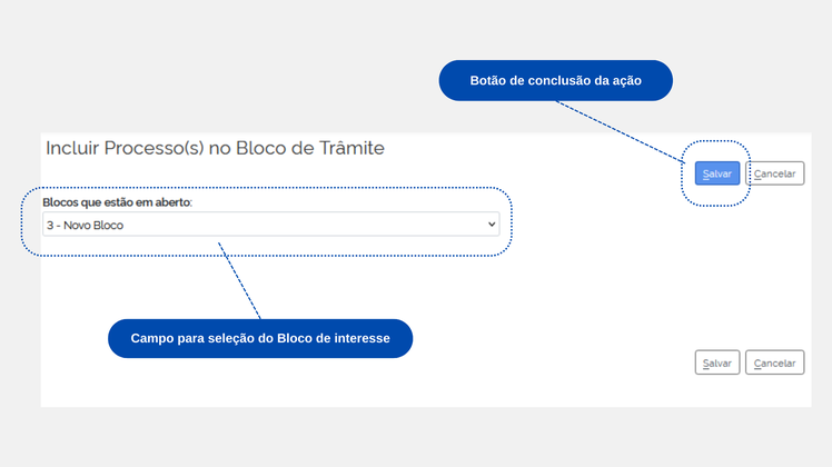 Figura 6 – Tela de inclusão de processo(s) no Bloco de Trâmite Externo. 