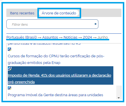 Adicionar Notícia imagem5.png