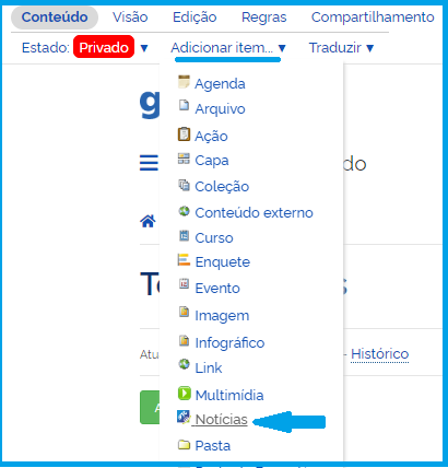 Visão Adicionar item Notícia